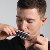 East top Chromatic Harmonica, 12-Hole 48-Tone Key of C, ABS Comb, Phosphor Bronze Reed, Blue Cover (EAP-12)(silver-40)