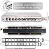 East top Chromatic Harmonica, 12-Hole 48-Tone Key of C, ABS Comb, Phosphor Bronze Reed, Blue Cover (EAP-12)(silver-40)