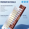 East top Diatonic Harmonica Key of A, 10 Holes 20 Tones 008K Diatonic Mouth Organ Harmonica with Blue Case,Standard Harmonica For Adults, Professionals and Students(blue-Db)