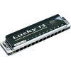 East top Lucky 13 Bass Plus Blues Harmonica 13 Holes Diatonic Harp Mouth Organ Professional Richter harmonica C key for Adults(Black B)