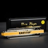 East top Upgrade Diatonic Harmonica, Blues Mouth Organ Harmonica Key of Db for Adults, Professionals and Students (PRO20-Db)(Silver2-C)