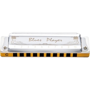 East top Upgrade Diatonic Harmonica, Blues Mouth Organ Harmonica Key of Db for Adults, Professionals and Students (PRO20-Db)(Silver2-C)