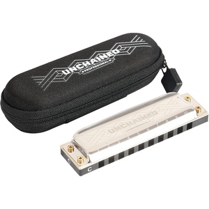 East top Upgrade Diatonic Harmonica, Blues Mouth Organ Harmonica Key of Db for Adults, Professionals and Students (PRO20-Db)(silver-60C)